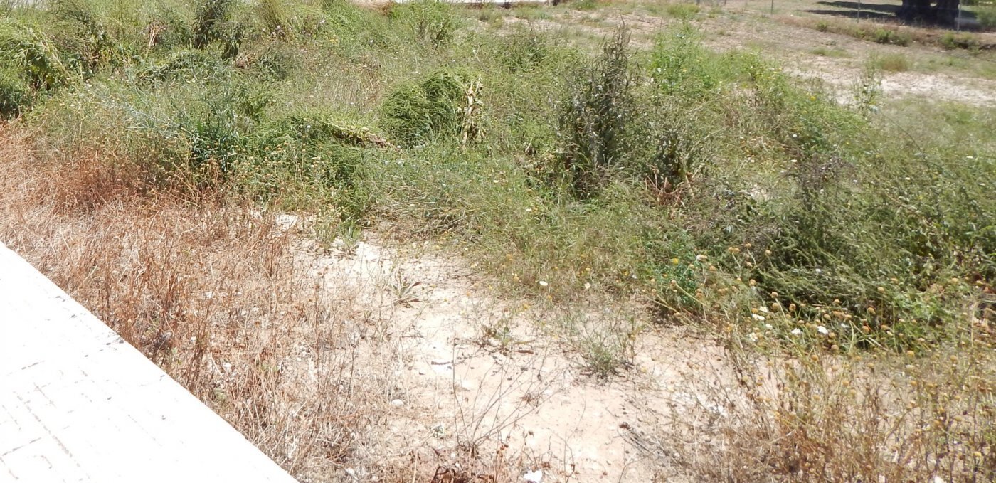 Terrain dans València, Valencia à vendre Plan de site- Image 1 de 4