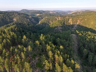 Plus de détails pour Cutting Mine Rd., Lead, SD - Terrain à vendre