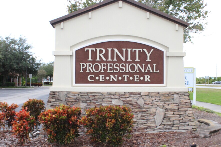 8820 Belagio Dr, Trinity, FL à louer - Autre - Image 3 de 6