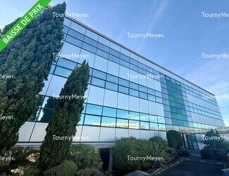 Plus de détails pour 1 Rue Du Professeur Pierre Vellas, Toulouse - Bureau à louer