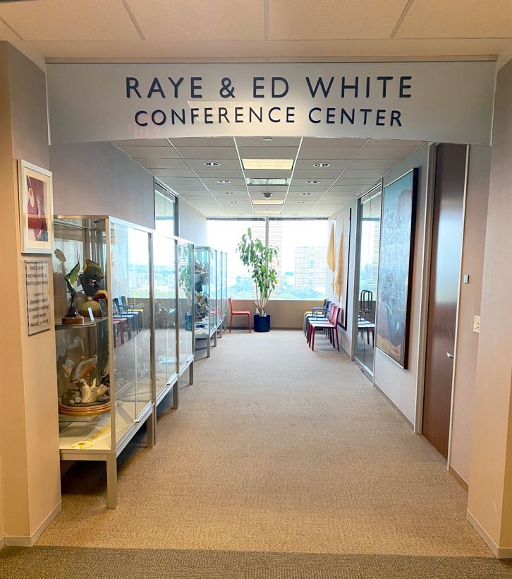 6400 Fannin St, Houston, TX for lease Interior Photo- Image 1 of 9