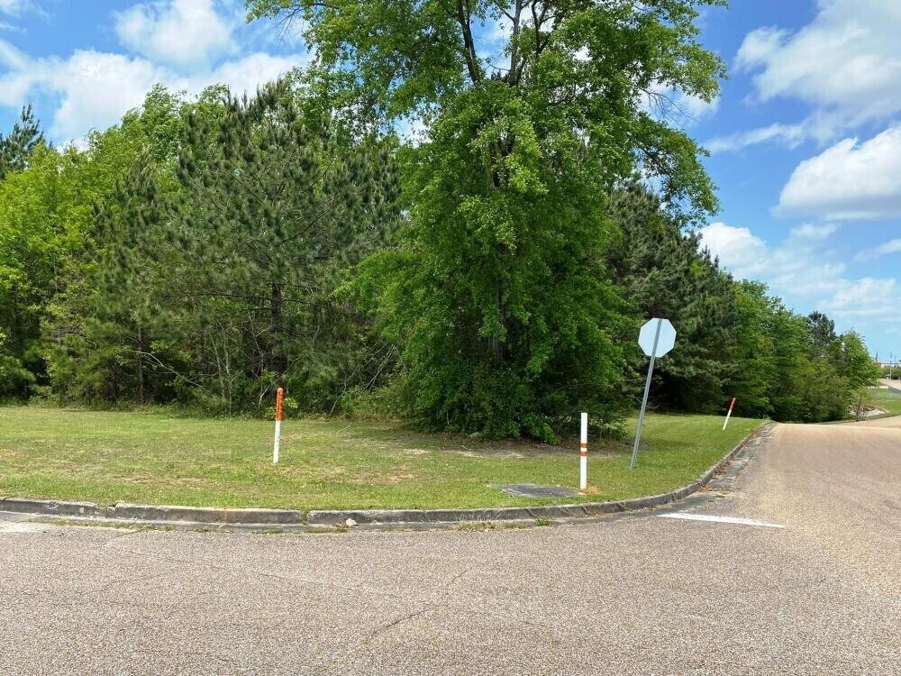 000 41st Ave., Hattiesburg, MS à vendre Autre- Image 1 de 6