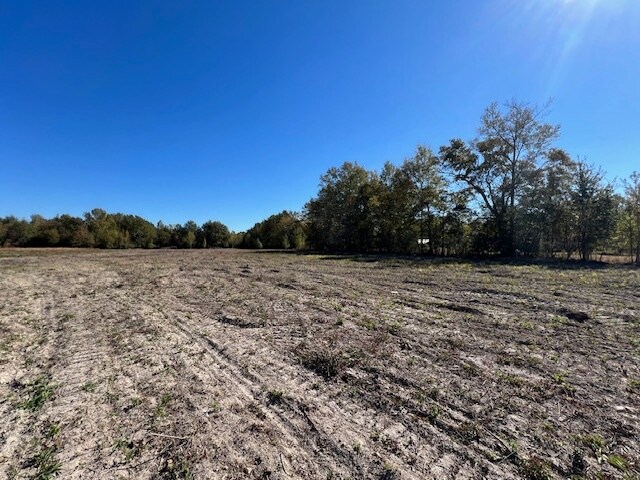1500 Highway 21, Atmore, AL à vendre Photo principale- Image 1 de 13