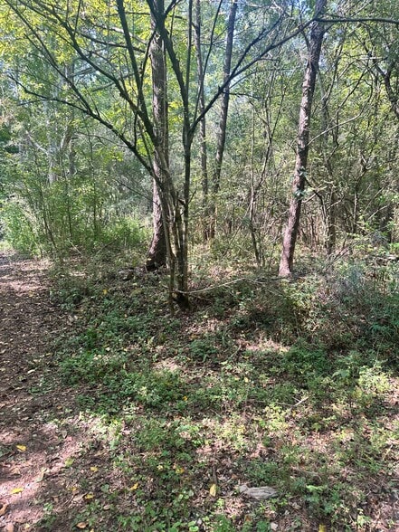 7330 Frix Rd, Cumming, GA à vendre - Photo du bâtiment - Image 2 de 28