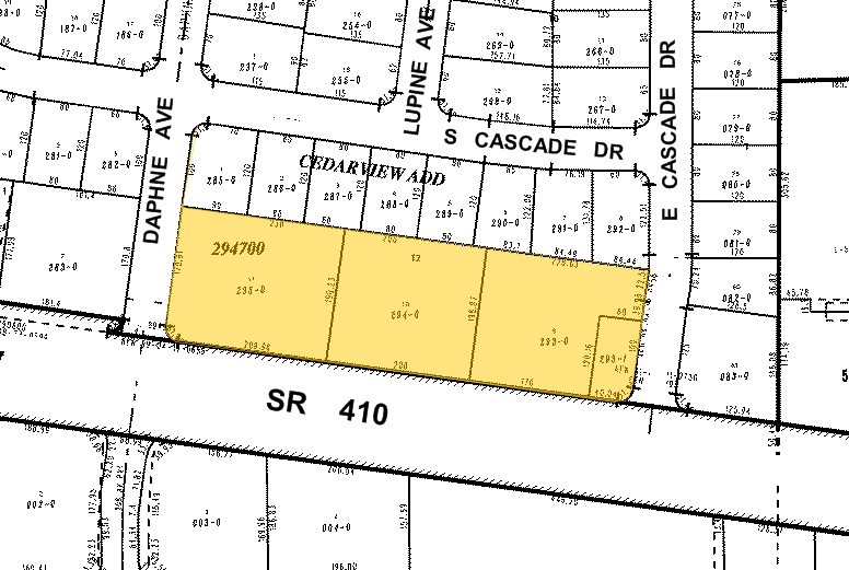 20800-20980 WA-410 E, Bonney Lake, WA à vendre - Plan cadastral - Image 1 de 1