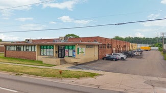 More details for 26051 Michigan Ave, Inkster, MI - Industrial for Lease