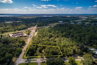 More details for Wolf Branch Rd, Mount Dora, FL - Land for Sale