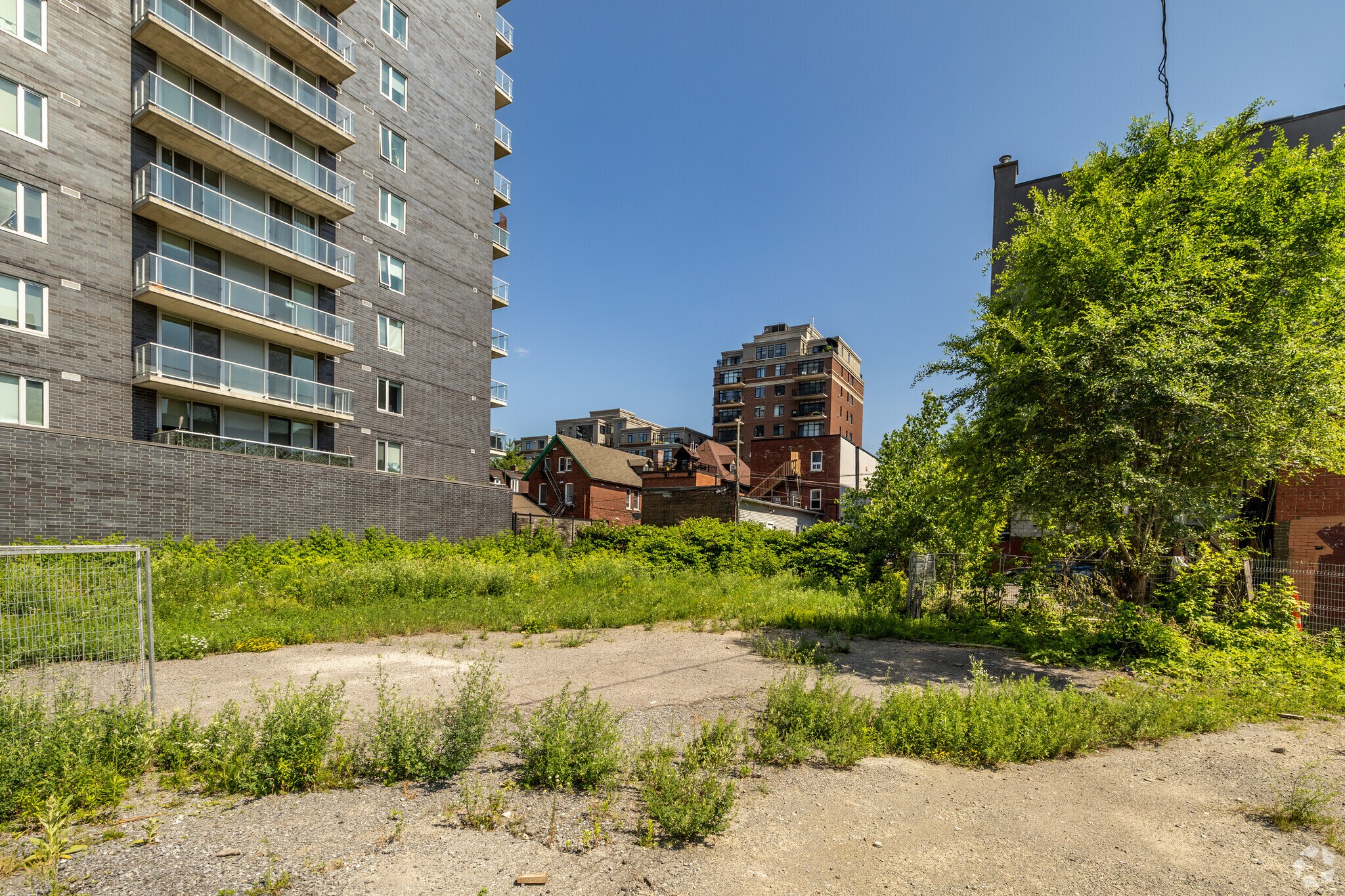 235-241 Bank St, Ottawa, ON for sale Primary Photo- Image 1 of 3