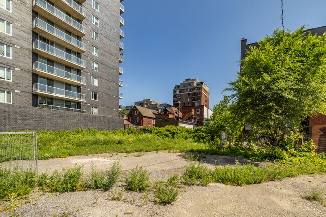 Plus de détails pour 235-241 Bank St, Ottawa, ON - Terrain à vendre