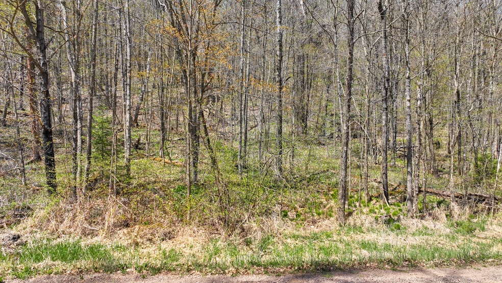 N Gueldner Lane, Exeland, WI for sale - Building Photo - Image 2 of 10