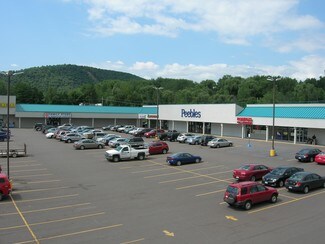 Plus de détails pour Rt 6, Tunkhannock, PA - Commerce de détail à louer