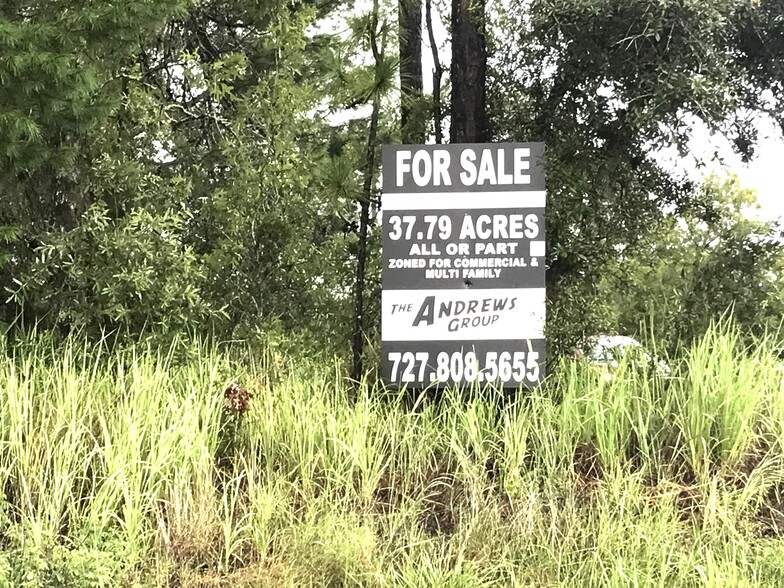 Ponce De Leon Land portfolio of 2 properties for sale on LoopNet.ca - Building Photo - Image 2 of 9