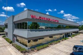 Plus de détails pour 17200 SH 249, Houston, TX - Médical à louer
