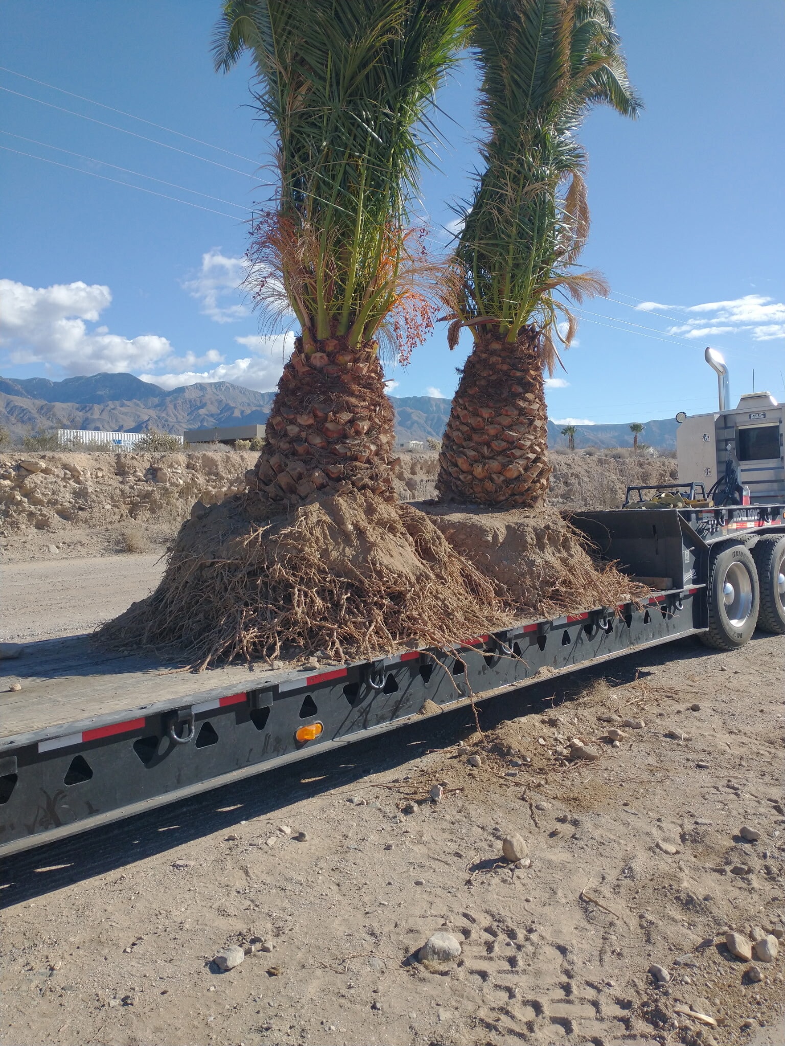 2941 S Franhi Rd, Littlefield, AZ for sale Primary Photo- Image 1 of 9