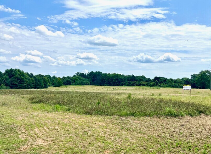 3000 Sandy Ridge Rd, Colfax, NC for sale - Building Photo - Image 3 of 3