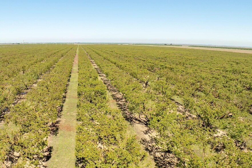 0 Hamilton Road, Westley, CA à vendre - Aérien - Image 2 de 5