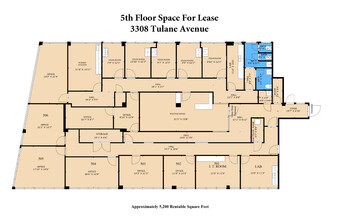 3308 Tulane Ave, New Orleans, LA à louer Plan d  tage- Image 1 de 1