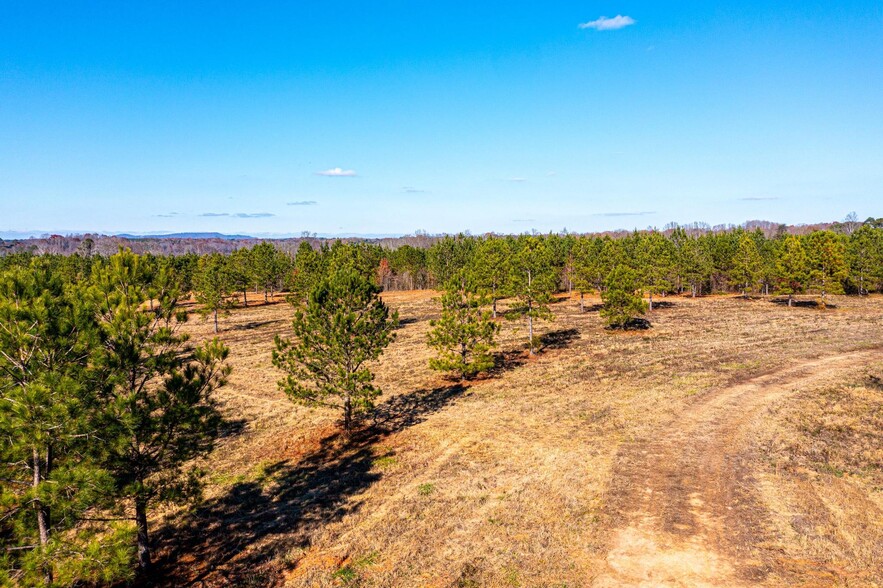 2200 Oweda Dr, Conover, NC for sale - Aerial - Image 2 of 9