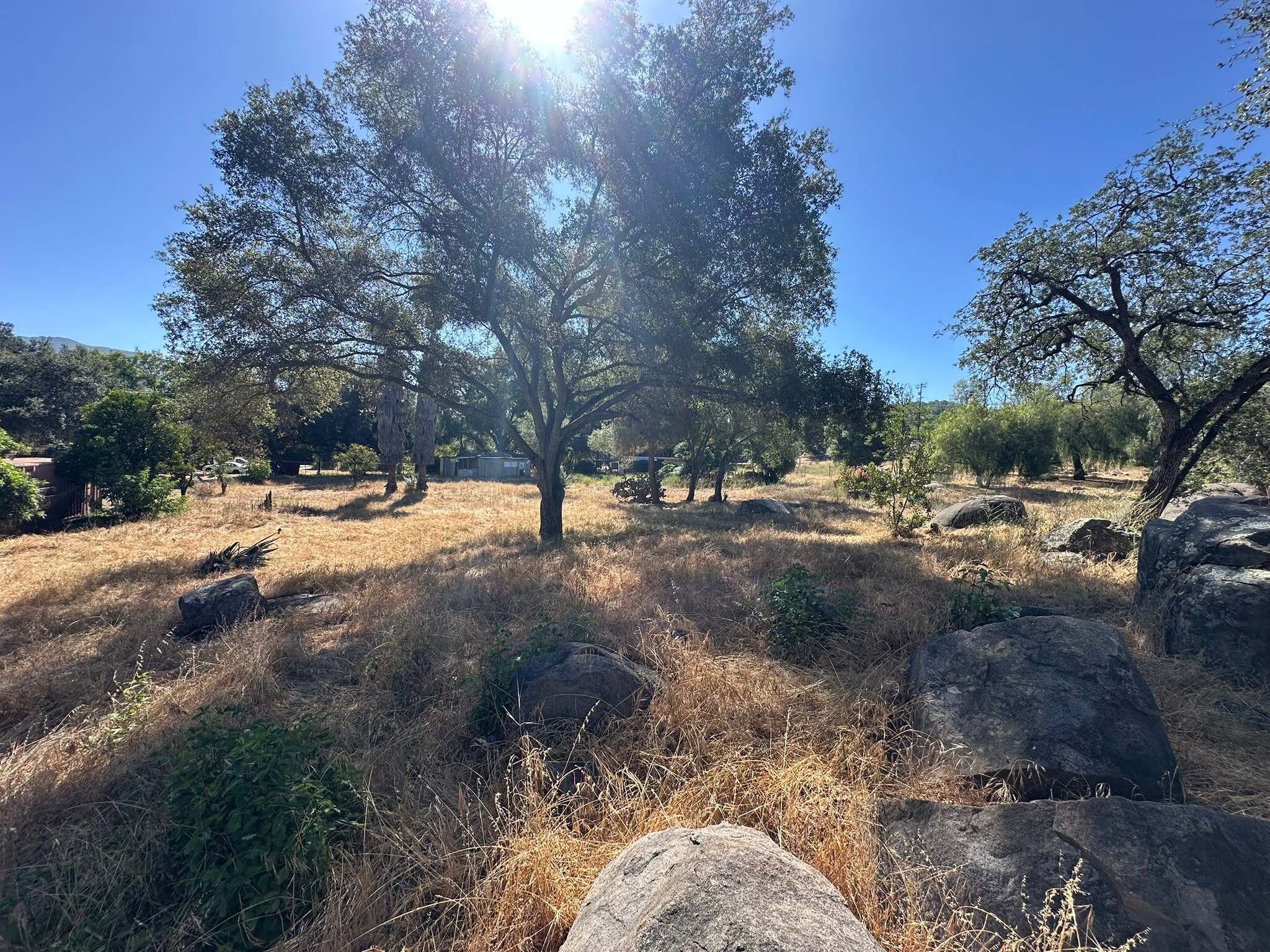 1528 Olivewood Ln, Alpine, CA for sale Primary Photo- Image 1 of 23