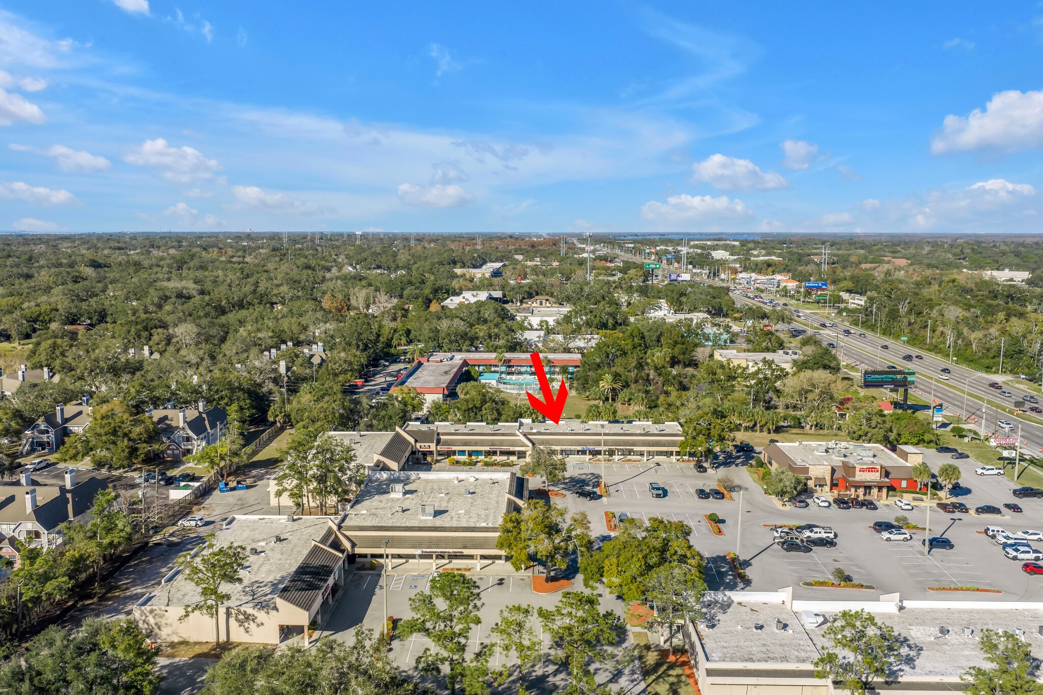 31918 US Highway 19 N, Palm Harbor, FL for lease Primary Photo- Image 1 of 31