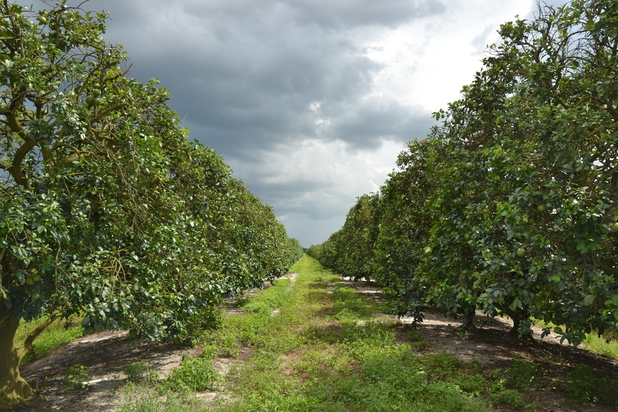 162nd Ave, Vero Beach, FL for sale - Primary Photo - Image 1 of 1