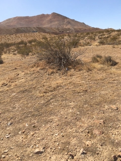 246-082-23-00-7 Ophir, Mojave, CA for sale Primary Photo- Image 1 of 4