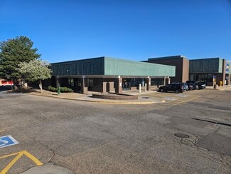 More details for 8203-8267 S Holly St, Centennial, CO - Retail for Lease