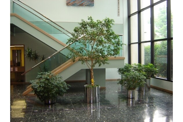 220 Broadway, Lynnfield, MA à vendre - Photo du bâtiment - Image 2 de 14