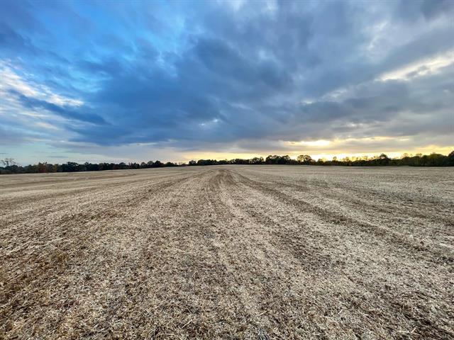 00 Hwy & Anderson Ave, Brownsville, TN à vendre Photo principale- Image 1 de 12