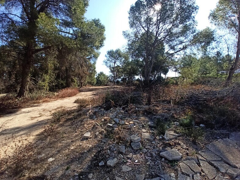 Terrain dans Alberic, Valencia à vendre - Photo principale - Image 1 de 6