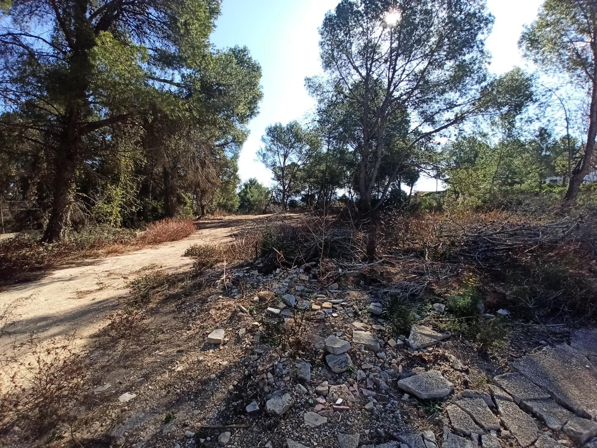 Land in Alberic, Valencia for sale Primary Photo- Image 1 of 7