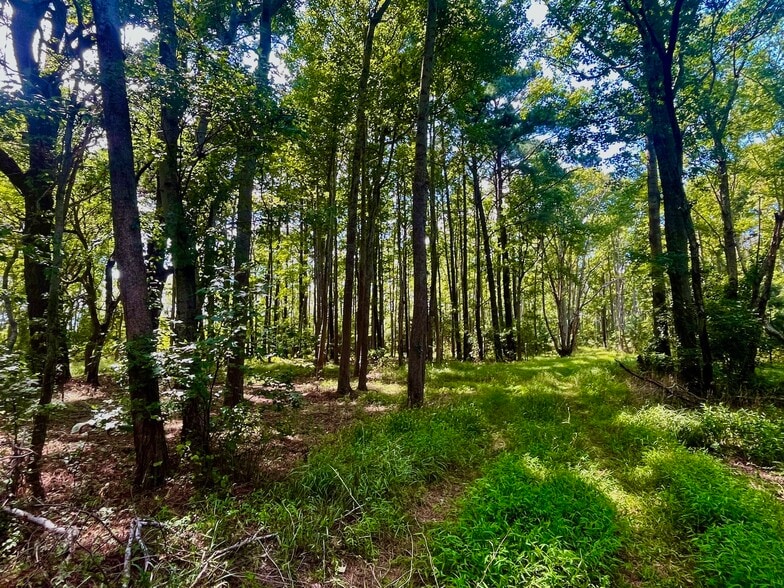 0 Side Lane, Powells Point, NC à vendre - Photo principale - Image 3 de 71