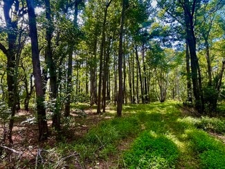 More details for 0 Side Lane, Powells Point, NC - Land for Sale