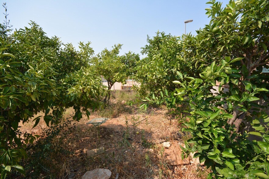 Land in Marratxí, Islas Baleares for sale - Building Photo - Image 2 of 18