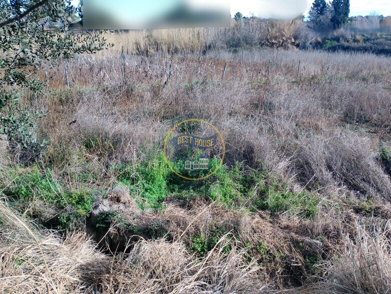 Polígono Número 5, 6, Ontinyent, Valencia à vendre - Photo du bâtiment - Image 2 de 7