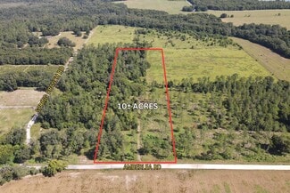 Plus de détails pour Amberlea Rd, Dade City, FL - Terrain à vendre