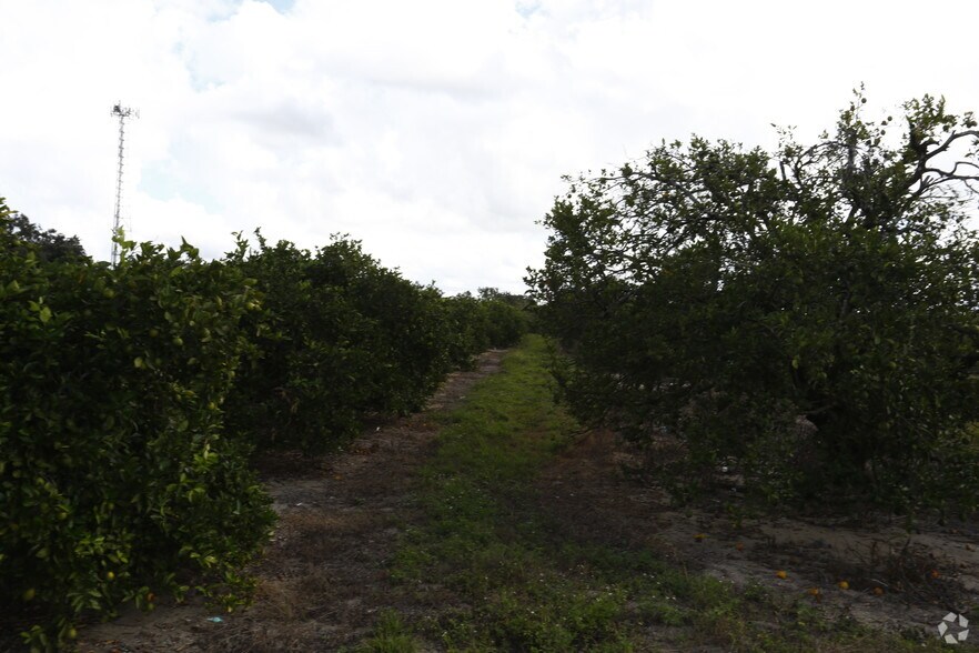 13-115 E 9th St, Frostproof, FL à vendre - Photo du bâtiment - Image 2 de 3