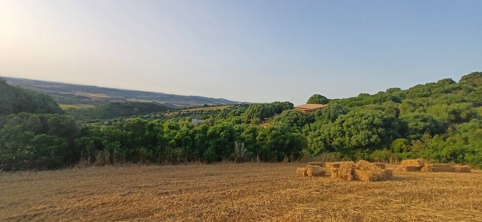 Terrain dans Vejer de la Frontera, Cádiz à vendre - Photo du bâtiment - Image 3 de 9