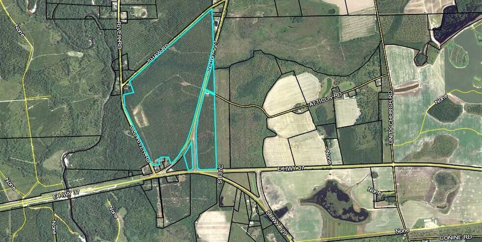 8 Acres Hwy 221 hwy, Lakeland, GA à vendre - Aérien - Image 3 de 14