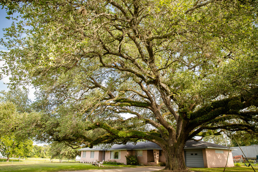 6673 Old Mill Creek Rd, Brenham, TX à vendre - Photo principale - Image 1 de 1