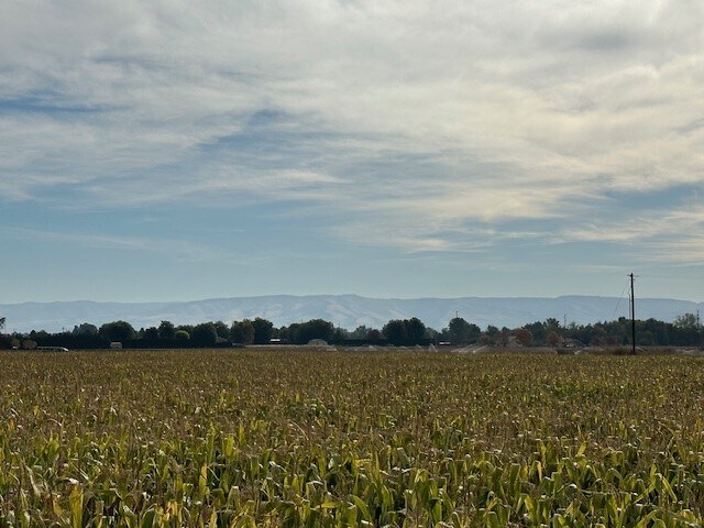 tbd Bunchgrass Lane Walla Walla County, Walla Walla, WA à vendre Photo principale- Image 1 de 21
