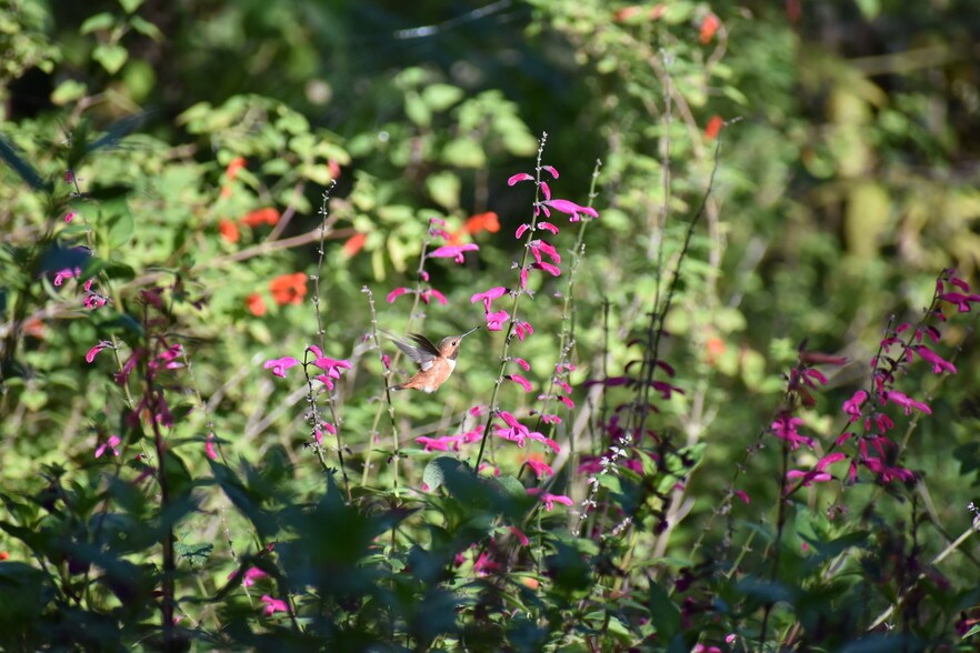 540 Ella T Grasso Blvd, New Haven, CT for lease - Other - Image 2 of 13