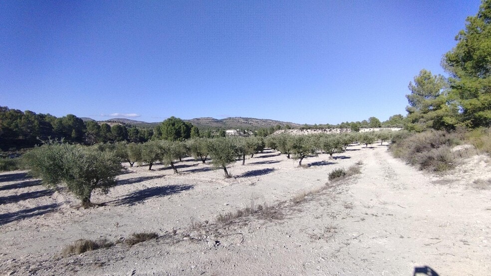 Land in Moratalla, Murcia for sale - Building Photo - Image 3 of 30
