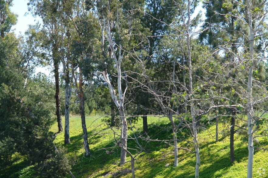 Sycamore Ave, Vista, CA for sale - Building Photo - Image 3 of 4