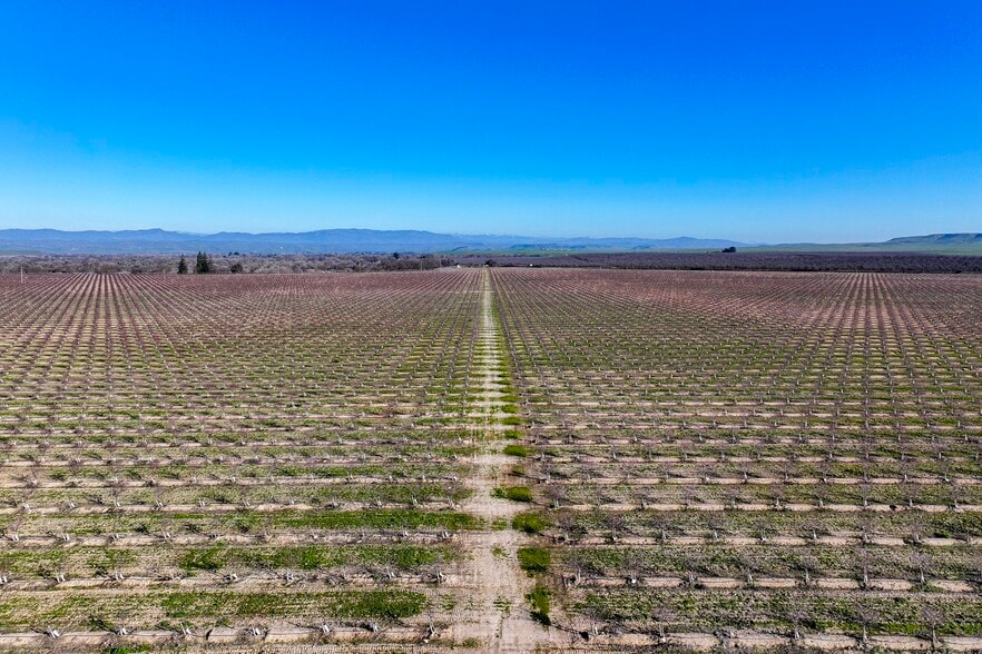 15116 Allen rd, Snelling, CA for sale - Building Photo - Image 2 of 12