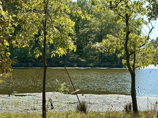 201 Morgan Loop Rd Rd, DeWitt, AR à vendre - Photo du bâtiment - Image 3 de 5