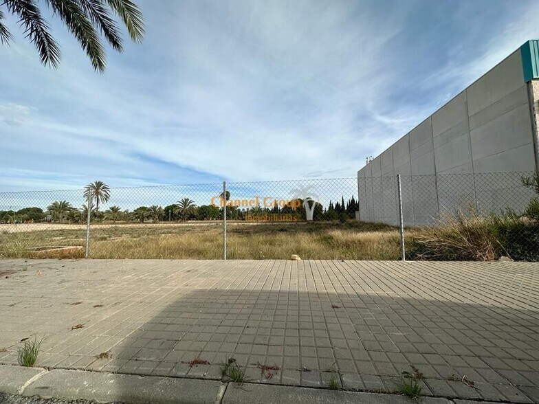Land in Elche, Alicante for sale - Primary Photo - Image 1 of 2