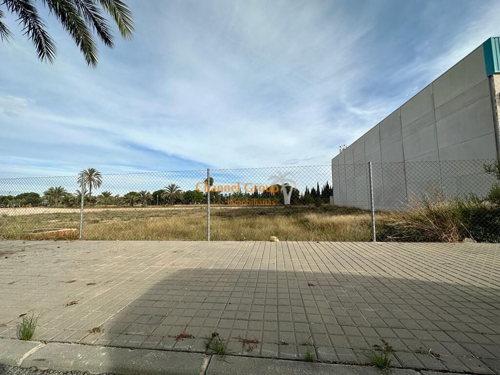Terrain dans Elche, Alicante à vendre Photo principale- Image 1 de 3