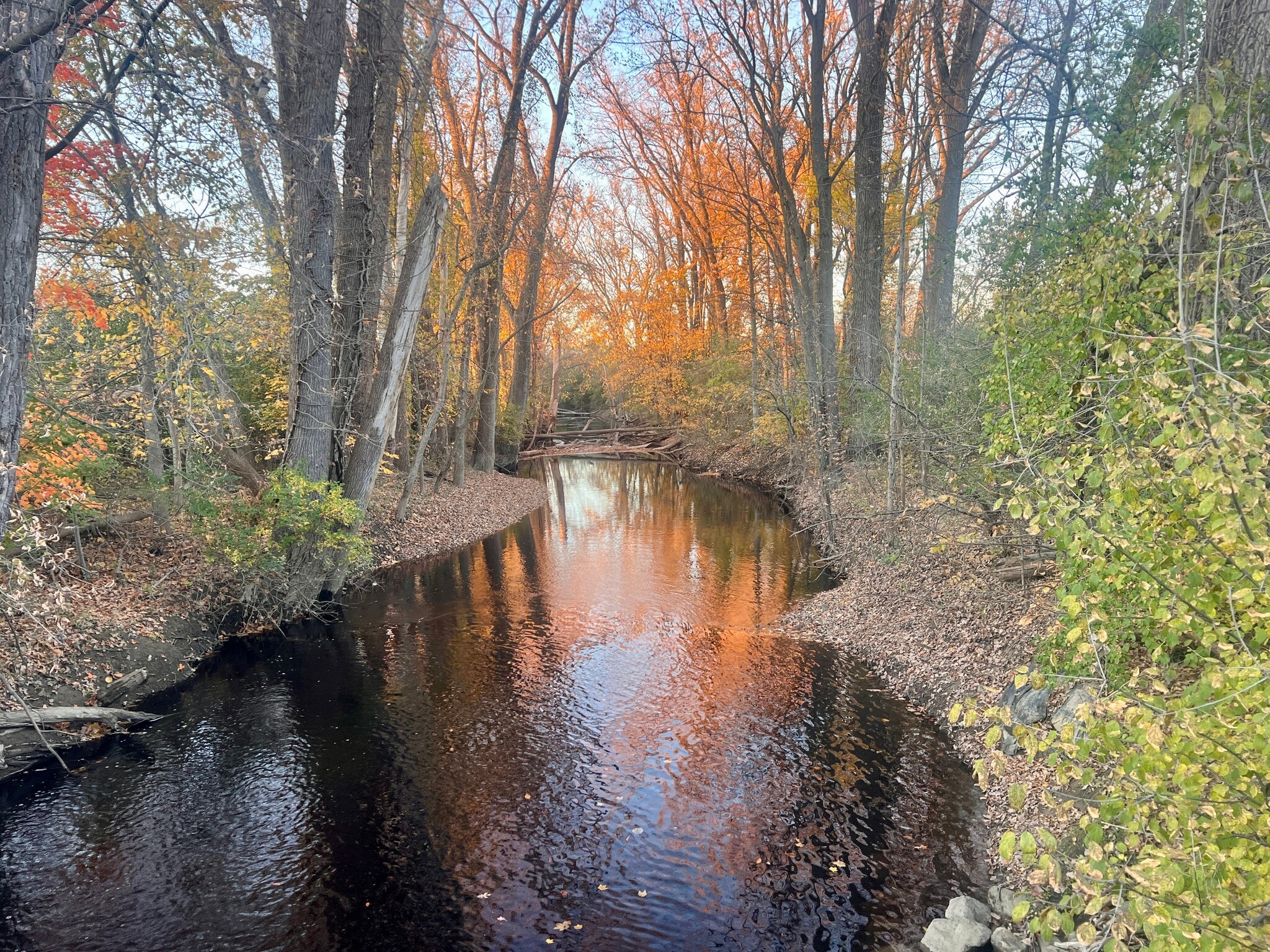 0 Court St, Davison, MI for sale Site Plan- Image 1 of 5