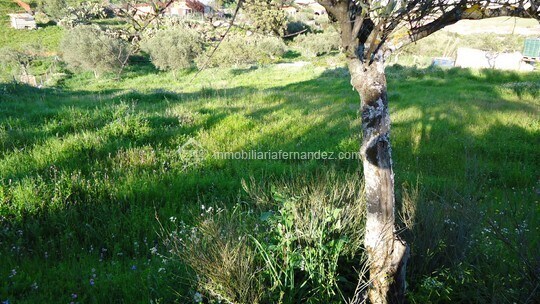 Terrain dans Sierra de Fuentes, Cáceres à vendre - Photo principale - Image 3 de 4